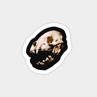 predator skull / Swiss Artwork Photography Sticker